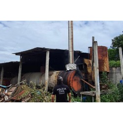 No mês do meio ambiente, Polícia Civil reforça alerta sobre combate ao crime